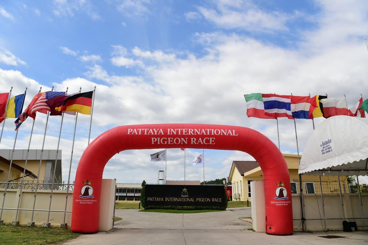 芭提雅国际赛鸽公棚 第八届比赛 正式开始