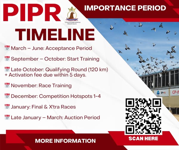 📅 Race Timeline & Schedule – Stay Ready! 🕊️